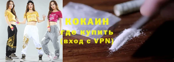 твердый Надым