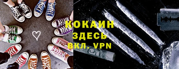 твердый Надым