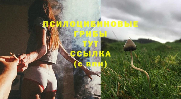 МДПВ Наволоки