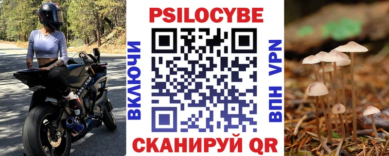 Псилоцибиновые грибы прущие грибы Мытищи