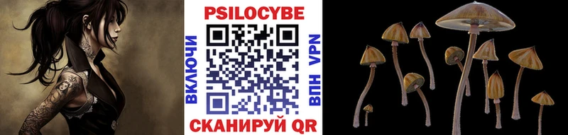Псилоцибиновые грибы ЛСД  наркотики  Мытищи 